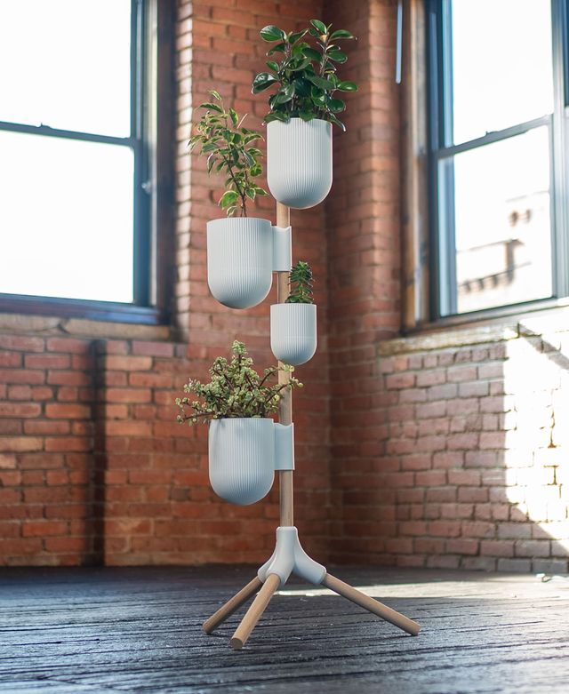 Root3d plant stand